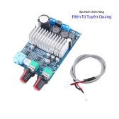 Mạch Sub Siêu Trầm Mini 100W CLASS D TPA3116D2 Loại Xịn - 1 Cái